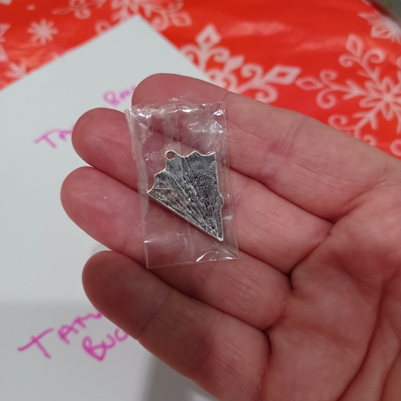 Tampa Bay Buccaneers  charm - Picture 2 of 2